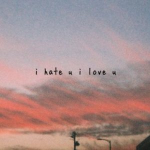 دانلود آهنگ I Hate you I Love you از Gnash & Olivia O’Brien